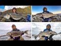 Big sea bass diaries 4  more monster bass spinning with samson lures