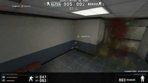 Combat Arms EU Hacker Name:    nu-delficker