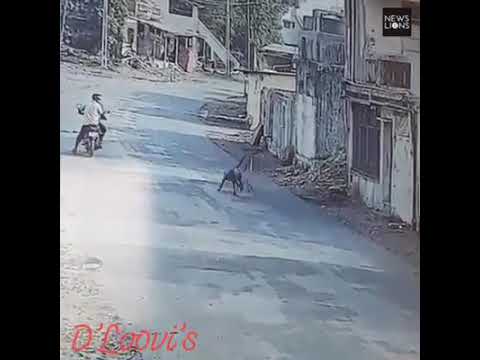 atrocities😂😂