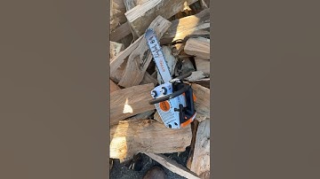 Stihl MS 194t With Tree Tamer Muffler