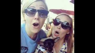 Hartsquared - Electrified Youre The 1Z