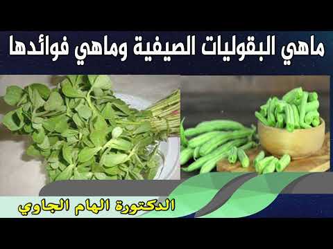 ماهي البقوليات الصيفية وماهي فوائدها الدكتورة الهام الجاوي