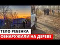 Обнаружено ТЕЛО на дереве