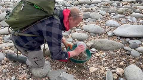 Fossil Hunting in Charmouth with the Wobbly Fossiler