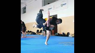 Türkiye Horting Federasyonu