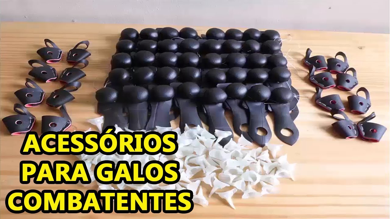 Bucha para Galos Combatentes - YouTube