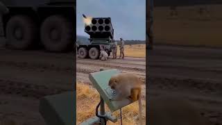 Monkey Launches Rocket Launcher 😱🚀 #shorts