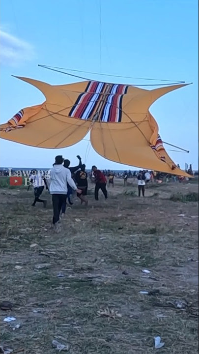 Tragedi Pilgub Bali ✅Layangan Big Size ✅ Piala Gubernur Bali 2023 #kite #kitefestival