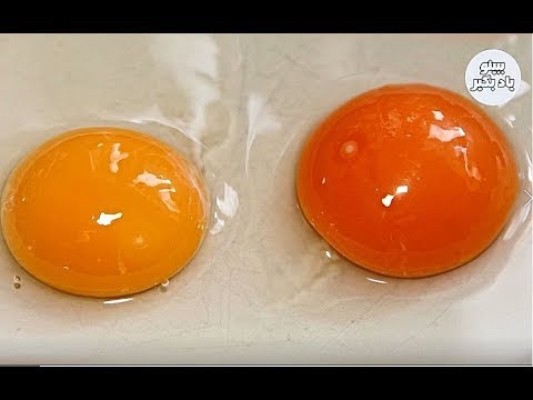 تصویری: چگونه تخم مرغ ها را جدا کنیم