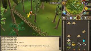 Woodcutting Teaks & Alching (With juju potions)
