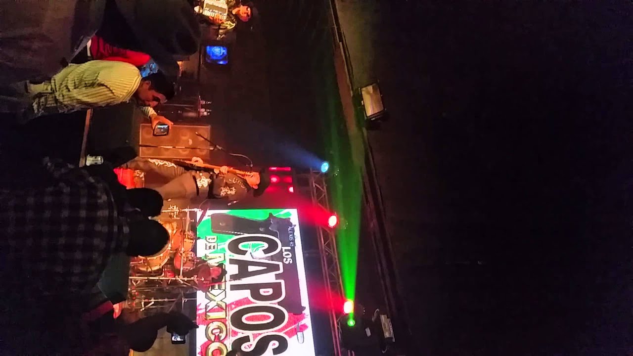 Los Capos La Canelera en vivo YouTube