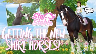Buying the NEW shires, NEW bridles & magical horses! | Star Stable Updates