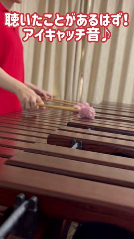 マリンバはアイキャッチに使われがち #marimba