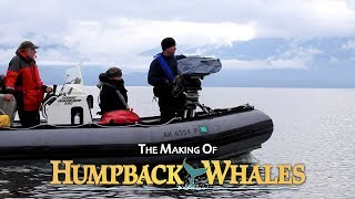 The Making of IMAX's ‘Humpback Whales’: Singing, Sounds, Feeding & Rescue