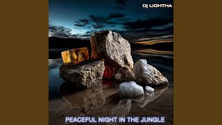 Peaceful night in the jungle