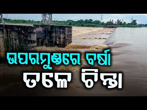 Odisha Flood Alert: Baitarani River To Cross Danger Mark | Jajpur & Bhadrak At Risk | Argus News