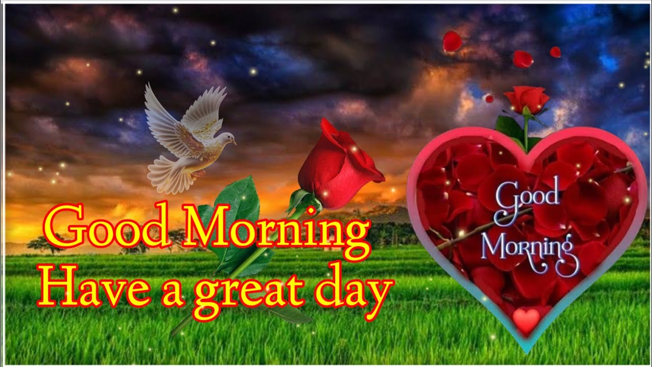 Good morning new song status video good morning status video good