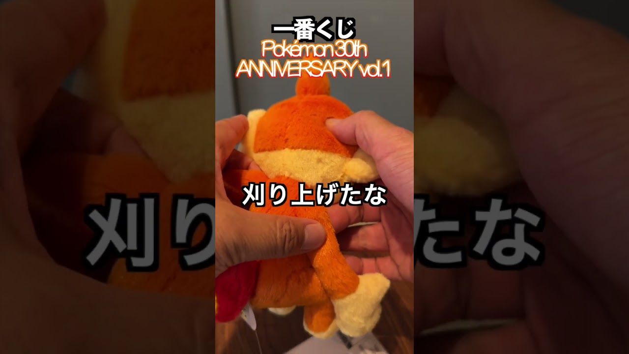 I won the Ichiban Kuji lottery! Pokémon 30th ANNIVERSARY vol.1 