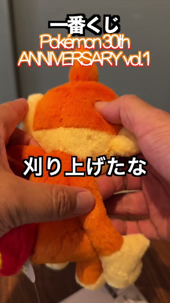 I won the Ichiban Kuji lottery! Pokémon 30th ANNIVERSARY vol.1