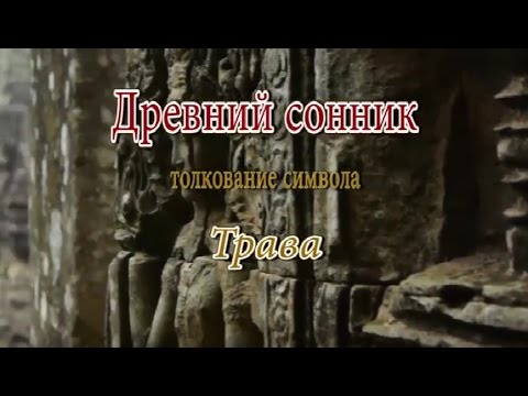 К чему снится Трава сонник, толкование сна