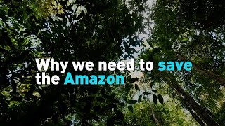 Why we need to save the Amazon