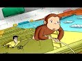 Jorge el Curioso en Español 🐵  El Elefante del Vecino 🐵 Episodio Completo 🐵 Caricaturas Para Niños