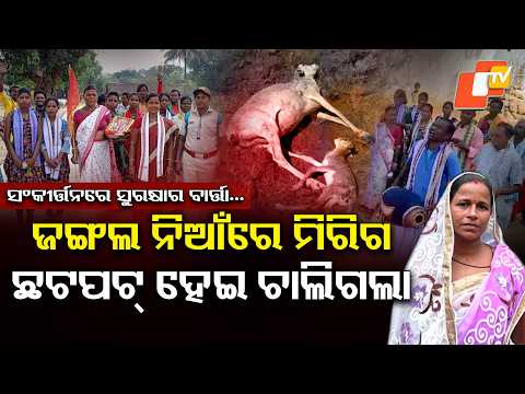 'ଜୀବଜନ୍ତୁ ଦିହରୁ ରକ୍ତ ବୋହିଲେ ମୋ ଆଖିରୁ ଲୁହ ଝରେ' । Pramila’s Unique Mission to Save Forests #trending
