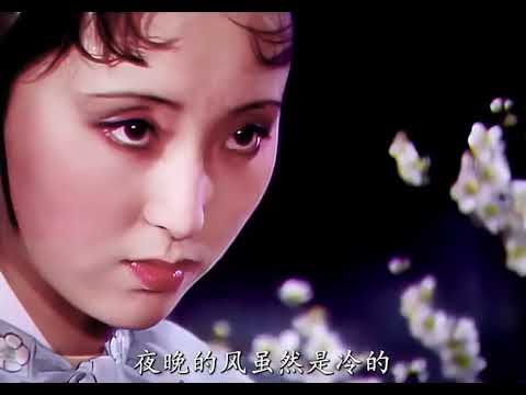 《红楼梦》解说E224贾宝玉林黛玉小树林私会，终于牵手