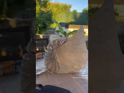 Créer une décoration coquillage DIY