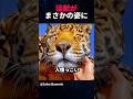 優しい女性に育ててもらった動物達はまさかの姿に…