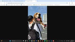 #16 Complete Project Using Roboflow from scratch (From Creating dataset to modeling and Deployment)