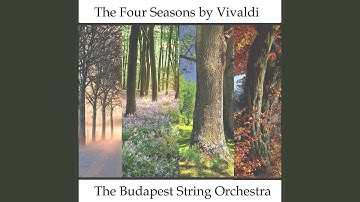 Symphony For Strings And Continuo In C Major RV112 - Presto