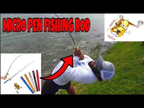 MICRO PEN FISHING ROD catches BIG FISH! 