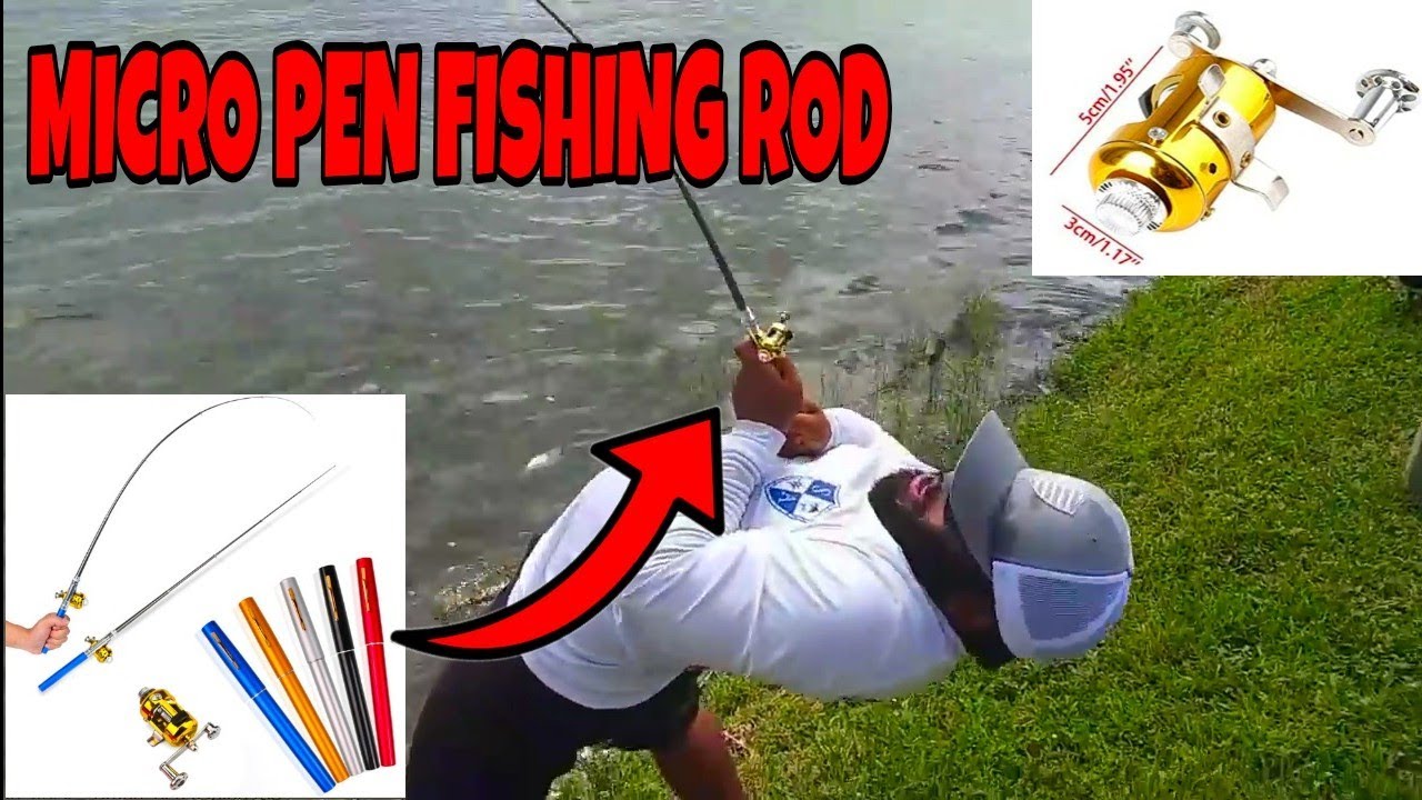 MICRO PEN FISHING ROD catches BIG FISH! 