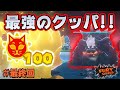 ネコシャイン100個コンプリート！集めたものだけが闘える最強のクッパと対決だ！コーダのフューリーワールド実況 Part11 最終回
