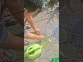 lumayan nambah lauk siang #mancing #ikan #shorts #viral #trending #top #fishing #mancingmania