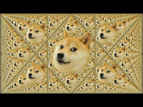 what the dog
