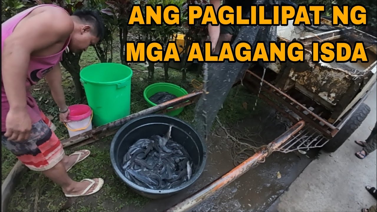 PAGLILIPAT NG MGA ALAGANG ISDA || February 23, 2026