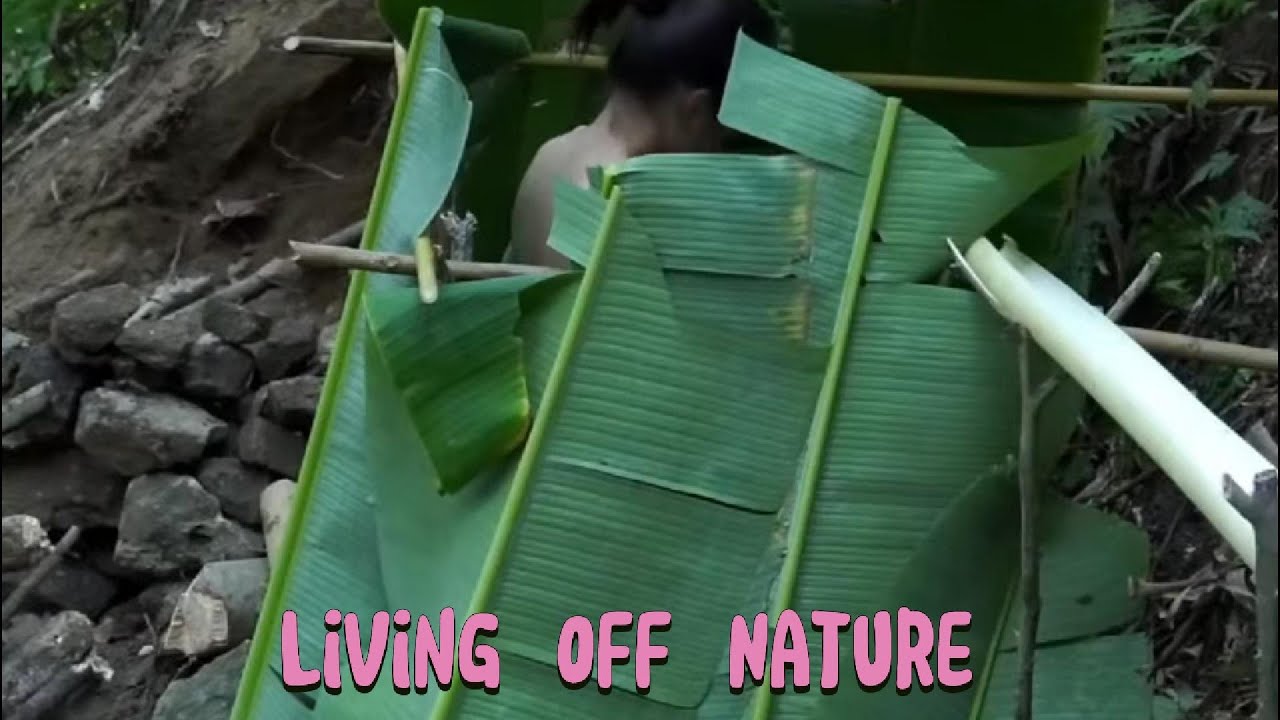 Alone in the Forest | Woman Survives in the Wilderness #bushcraft # ...