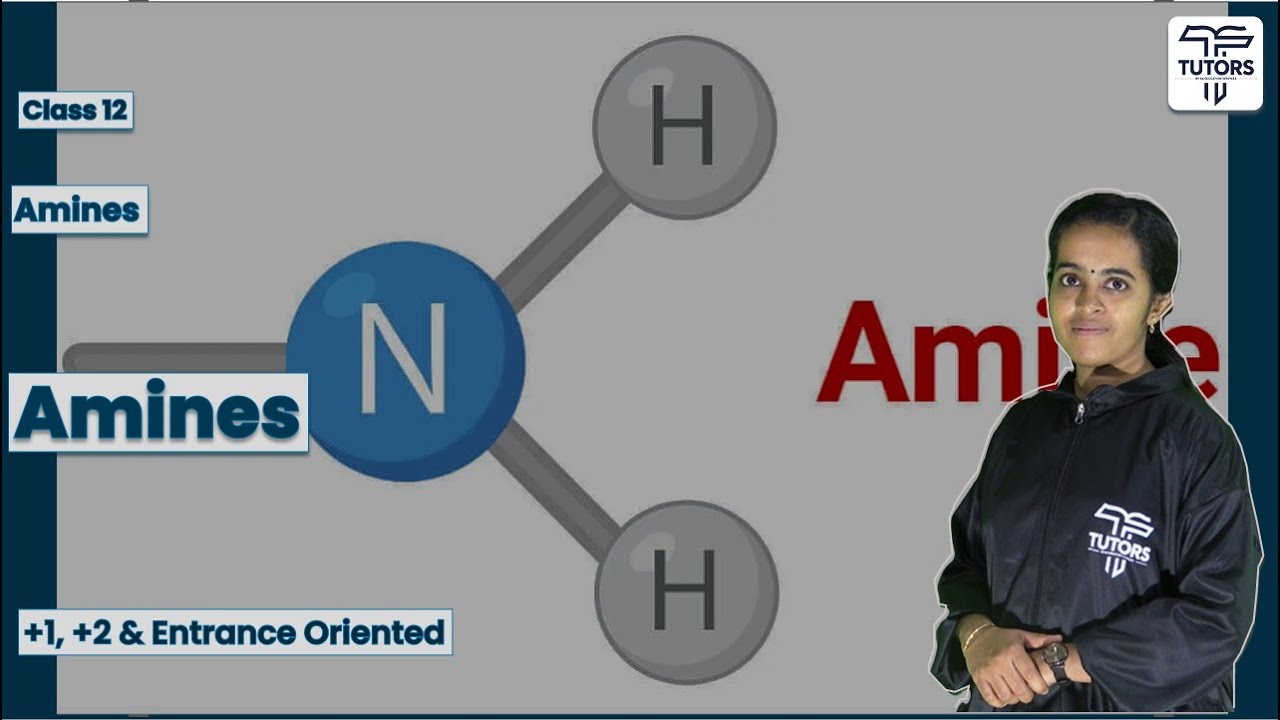 Amines | Class 12 Chemistry | Amines
