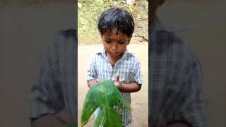 Download Lagu Jana Gana Mana 😘😘✨❤️ #barat #india #music #kids #trending #comedy #funny MP3