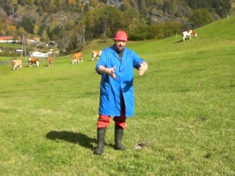 Petutschnig Hons und das EU-Gesetz gegen die Kuhfladen