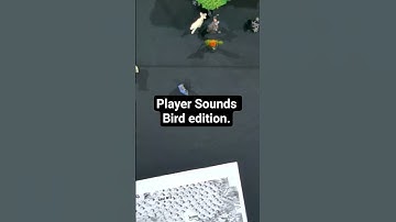 PLAYER SOUNDS BIRD EDITION #DND #D&D #game #gameplay #fun #funny #geek #gamer #ttrpg #rpg