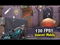 Valorant Mobile Chinese Lobby Radiant Gameplay 