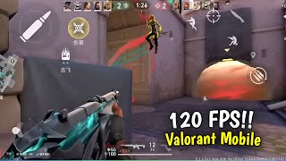 Valorant Mobile Chinese Lobby Radiant Gameplay 