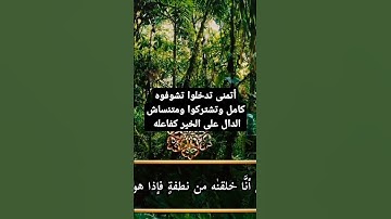 تلاوة خاشعة من سورة يس #تلاوة_خاشعة #القرآن_الكريم #سورة_يس #تلاوات #القرآن #اكسبلور #الشامي #لايك