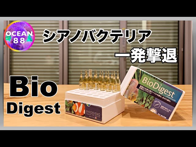 Saltwater Fish Tank/Coral Tank] Bio Digest: One-Shot Killer for
