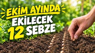 Ekim Ayı Hangi Sebzeler Ekilir? Ekim Ayı Ekilecek 12 Sebze! 