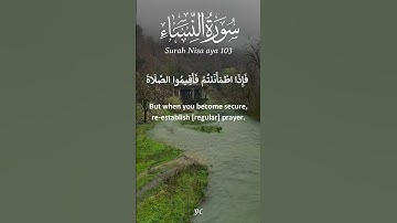 سورة النساء بصوت الشيخ مشاري راشد العفاسي   | Surah Al Nisaa by Rashid Alafasy