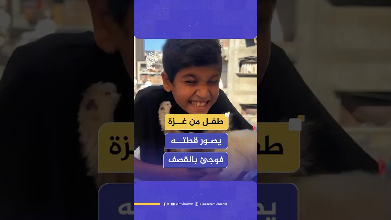 قـصـ ـف إسرائيلي يفاجئ طفلا وقطته أثناء تصويره مقطعا ترفيهيا في قطاع غزة